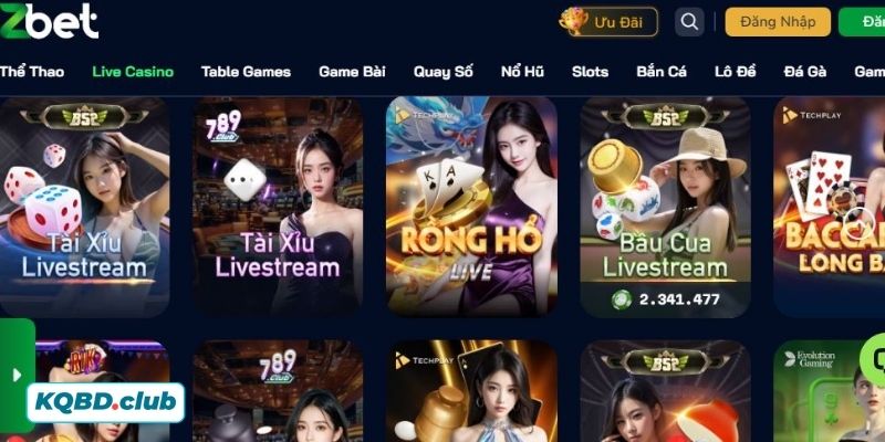 Review phản hồi từ người dùng Review phản hồi từ người dùng